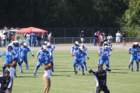 img_1699_small.jpg