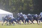 img_1940_small.jpg