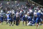 img_2004_small.jpg