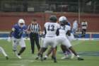 img_3449_small.jpg