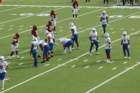 img_4338_small.jpg