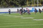 img_0017_small.jpg