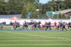 img_0022_small.jpg