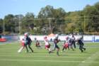 img_0061_small.jpg