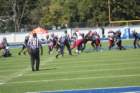 img_0090_small.jpg