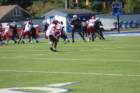img_0178_small.jpg