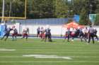 img_0300_small.jpg