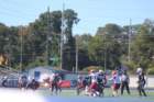 img_0439_small.jpg