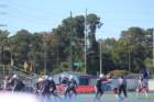 img_0441_small.jpg