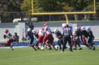 img_0449_small.jpg