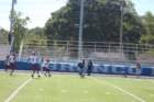 img_0500_small.jpg