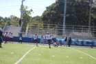 img_0501_small.jpg
