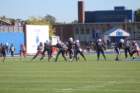 img_0651_small.jpg