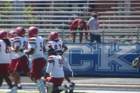 img_9911_small.jpg