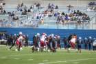 img_9966_small.jpg