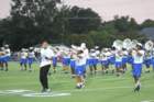 img_0294_small.jpg