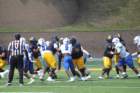 img_8955_small.jpg