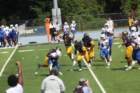 img_9371_small.jpg