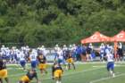 img_9384_small.jpg