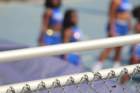 img_9441_small.jpg