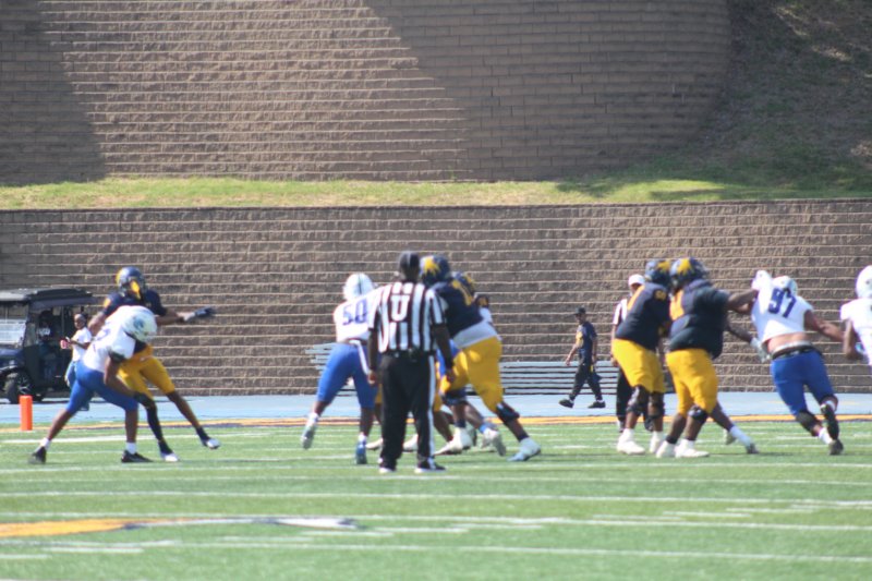 img_9571.jpg