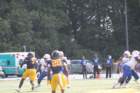 img_9630_small.jpg