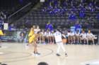 img_8757_small.jpg