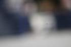 img_5035_small.jpg