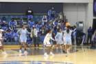 img_5271_small.jpg