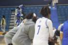 img_5310_small.jpg