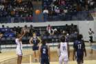 img_5222_small.jpg