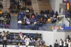 img_5250_small.jpg