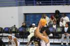 img_9562_small.jpg