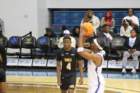 img_9564_small.jpg